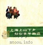 上海上山下乡知识青年画选 1975 PDF电子版封面 8171·1326 本社编