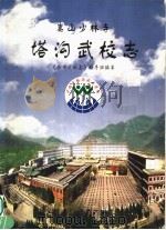 嵩山少林寺塔沟武校志（ PDF版）