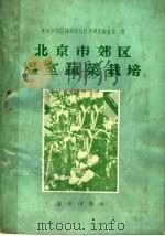 北京市郊区温室蔬菜栽培（1956 PDF版）
