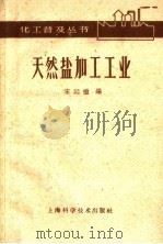 天然盐加工工业（1959 PDF版）