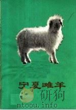 宁夏滩羊 1973 PDF电子版封面 16157·41 宁夏回族自治区农业科学研究所畜牧系编