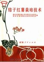 结子红薯栽培技术（1972 PDF版）