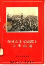 在社会主义道路上大步前进 1956 PDF电子版封面 北京大众出版社编