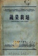 蔬菜栽培（1958 PDF版）
