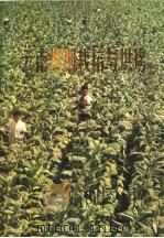 云南烤烟栽培与烘烤（1974 PDF版）