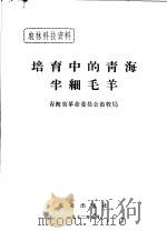 培育中的青海半细羊毛 1972 PDF电子版封面 青海省革命委员会畜牧局编