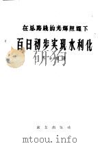 在总路线的光辉照耀下百日初步实现水利化（1959 PDF版）