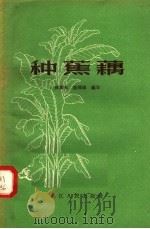 种蕉藕 1958 PDF电子版封面 T16103·64 林成夫,屠鸿德编著