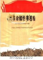 为革命种好麦茬稻  北京市郊区麦茬稻增产经验（1970 PDF版）
