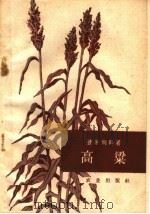 高粱（1959 PDF版）