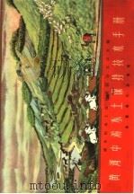 黄河中游水土保持技术手册 1958 PDF电子版封面 15143·959 国务院水土保持委员会办公室编