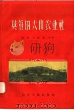 英雄的大山农业社 1958 PDF电子版封面 T4099·147 张西中,高维义编著