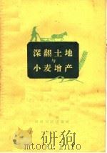 深翻土地与小麦增产（1959 PDF版）