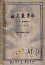 高等农业院校试用教材  蔬菜栽培学  中  露地栽培各论  蔬菜、果树蔬菜专业用（1961 PDF版）