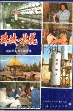 珠城一枝花 崛起的蚌埠乡镇企业 PDF电子版封面 中共蚌埠市委政策研究室,蚌埠市区乡企业局