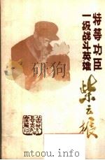一级战斗英雄特等功臣紫云振（ PDF版）