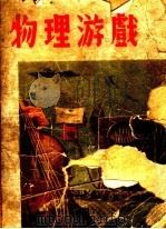 物理游戏 PDF电子版封面 杨孝述编