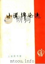 小说评论选（ PDF版）