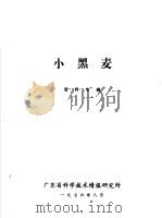 小黑麦资料专辑（ PDF版）