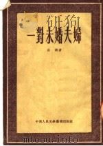 一对未婚夫妇（ PDF版）