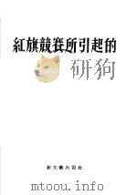 红旗竞赛所引起的 小说集 1955 PDF电子版封面 苏泛著