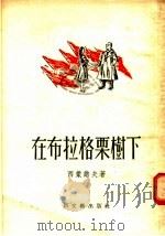 在布拉格栗树下 1955 PDF电子版封面 (苏)西蒙诺夫(К.М.Симонов)撰;朱惠译