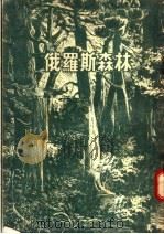 俄罗斯森林（ PDF版）