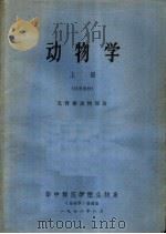 动物学  上  试用教材  无脊椎动物部份（ PDF版）