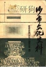 沙市文化史料 PDF电子版封面 沙市市文化局《文化志》编纂办公室编