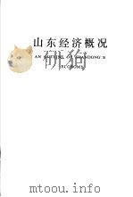 山东经济概况（ PDF版）