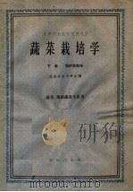 高等农业院校试用教材  蔬菜栽培学  下  保护地栽培  蔬菜、果树蔬菜专业用（1961 PDF版）