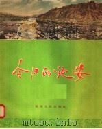 今日的延安 1956 PDF电子版封面 0725·787 陕西人民出版社编