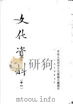 文化资料  11（ PDF版）