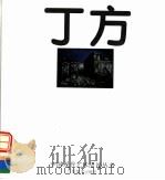 丁方 1994 PDF电子版封面 7805827427 丁方绘