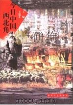 今日中国西北角 1998 PDF电子版封面 780587459X 王道义主编