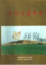 三庄汉墓考古（ PDF版）