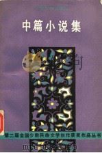 中篇小说集 1989 PDF电子版封面 7020008356 佳峻等著