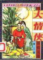 大情侠 第2部 郎情妾意 上 1997 PDF电子版封面 7805997969 剑亭著
