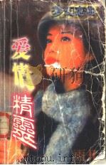 爱情精灵（1998 PDF版）