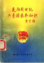 走向新世纪共青团基本知识 1996 PDF电子版封面 7801054849 戴克维,褚平主编