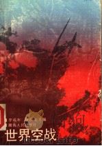 世界空战 1980 PDF电子版封面 7217003806 李成年,唐彦生主编