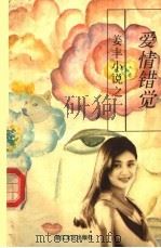 爱情错觉 1996 PDF电子版封面 753390950X 姜丰著