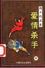 爱情杀手  中（1998 PDF版）