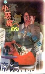 小恶魔的人间实习 1996 PDF电子版封面 7539909412 席绢著