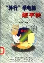 “外行”学电脑短平快 1999 PDF电子版封面 7810128450 张光斌编著