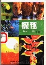 古文明探秘 下 1996 PDF电子版封面 7806370714 张宇光主编