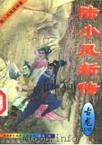 陆小风新传  第4册（ PDF版）