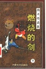燃烧的剑  下   1998  PDF电子版封面  780506555X  颜斗著 
