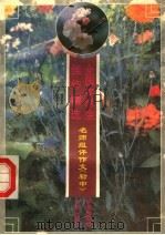全国中学生佳作精选  名师组评作文  初中（1996 PDF版）