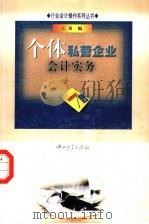 个体私营企业会计实务 1999 PDF电子版封面 7306015966 王泉编